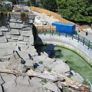 Tiergarten Schönbrunn - Top-view of the debated Polar Bear exhibit
