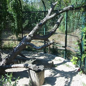 Tiergarten Schönbrunn - Inside one of the old big cat cages