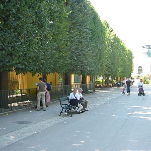 Tiergarten Schönbrunn - Pathway in the Tiergarten