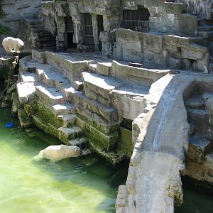 Tiergarten Schönbrunn - Polar Bear exhibit