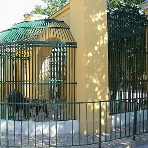 Tiergarten Schönbrunn - An old big cat cage