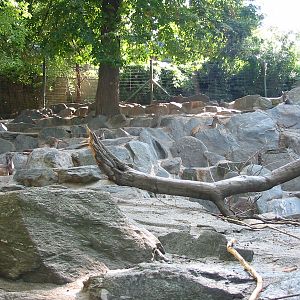 Tiergarten Schönbrunn - Rocky goat exhibit
