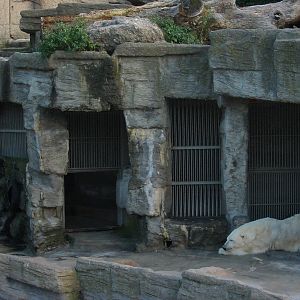 Tiergarten Schönbrunn - Polar Bear dens