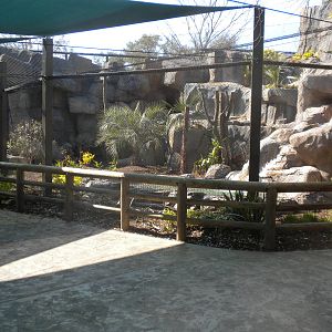 New Jaguar Exhibit
