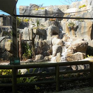New Jaguar Exhibit