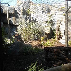 New Jaguar Exhibit