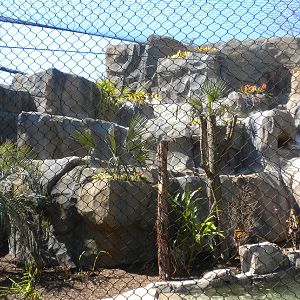 New Jaguar Exhibit