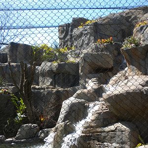 New Jaguar Exhibit