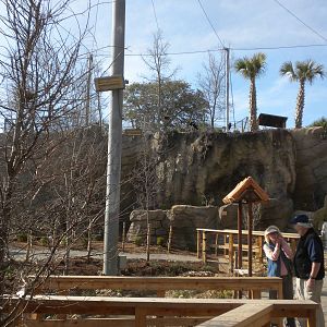 Africa Live 2 - Aviary