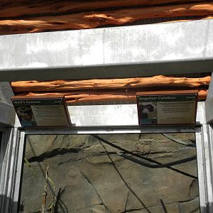 Africa Live 2 - Monkey exhibit