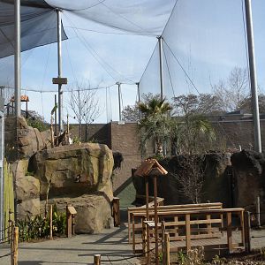 Africa Live 2 - Aviary