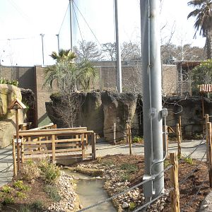 Africa Live 2 - Aviary