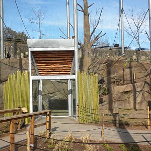 Africa Live 2 - Aviary and Monkeys