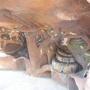 Africa Live 2 - Termite mound