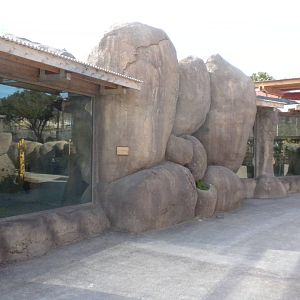 Africa Live 2 - Touraco and Hyrax exhibits