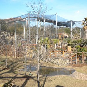 Africa Live 2 - Okapi and Aviary