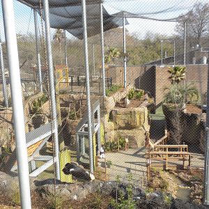 Africa Live 2 - Aviary and Monkey exhibit