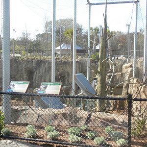 Africa Live 2 - Aviary