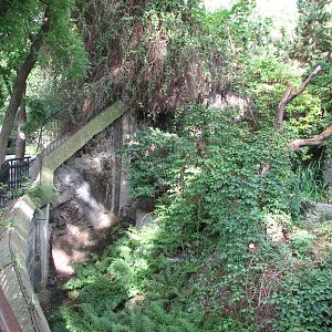 Zoo Praha - Inside of Red Panda exhibit