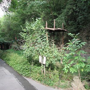 Zoo Praha - Open Macaw exhibit