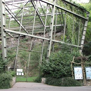 Zoo Praha - Large vulture aviary
