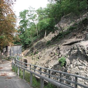 Zoo Praha - Excellent exhibit for Caucasian Ibex