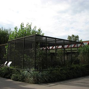 Zoo Praha - Aviary
