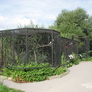 Zoo Praha - Aviaries