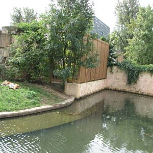 Zoo Praha - Sumatran Tiger exhibit