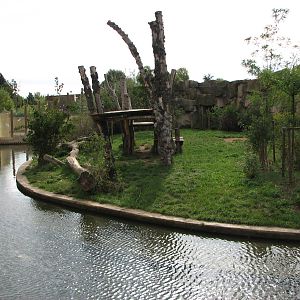 Zoo Praha - Sumatran Tiger exhibit