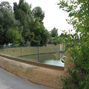 Zoo Praha - Front of Sumatran Tiger exhibit