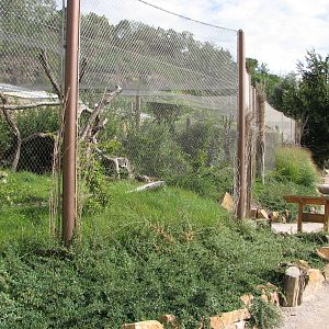 Zoo Praha - Small cat enclosures
