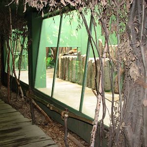 Zoo Praha - Indoor Tiger exhibit