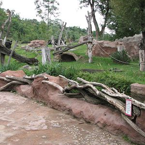 Zoo Praha - Outdoor Gorilla exhibit