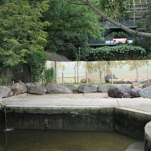 Zoo Praha - Another part of the Hippopotamus exhibit