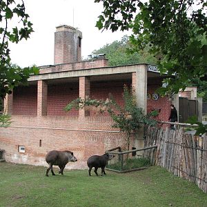Zoo Praha - Brazilian Tapir exhibit and entrance to the Elephant Pavilion