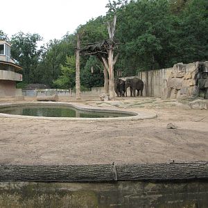 Zoo Praha - Elephant exhibit