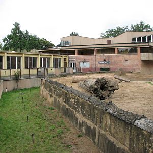Zoo Praha - Wide moat surrounding the Elephant exhibit