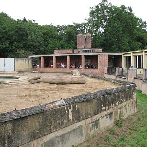 Zoo Praha - View of the Elephant exhibit moat looking from the viewing deck