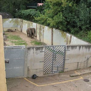 Zoo Praha - Elephant holding pen
