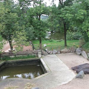 Zoo Praha - Aerial view of the Hippopotamus exhibit from the Elephant Pavil