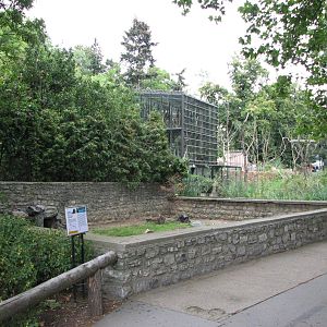Zoo Praha - Porcupine exhibit