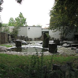 Zoo Praha - Large but not good Penguin exhibit