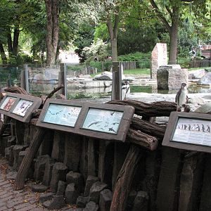 Zoo Praha - Front of Penguin exhibit
