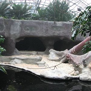 Zoo Praha - Orangutan exhibit