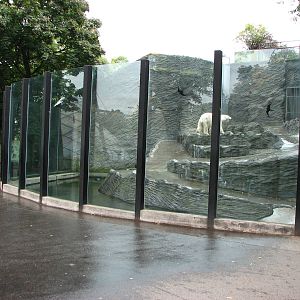 Zoo Praha - First Polar Bear exhibit