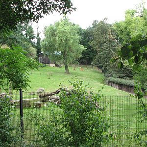 Zoo Praha - Lovely Sitatunga paddock