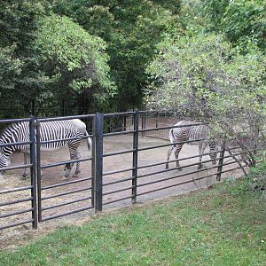 Zoo Praha - Old zebra enclosure