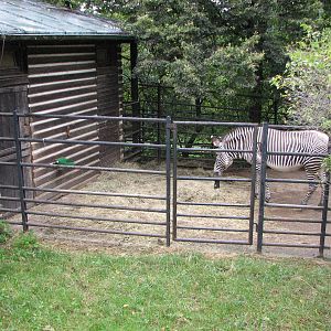 Zoo Praha - Old Zebra enclosure and stables