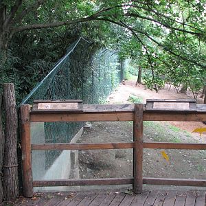 Zoo Praha - Wolf enclosure